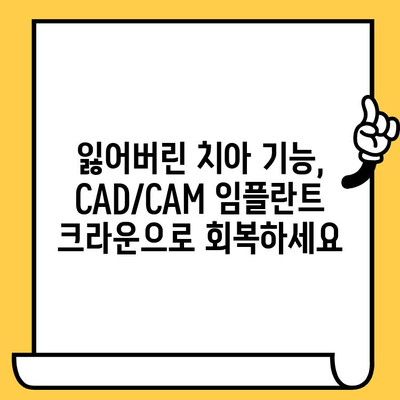 CAD/CAM 임플란트 크라운| 자연스러운 미소, 완벽한 기능 회복 | 임플란트, 치과, 치료, 기술, 장점