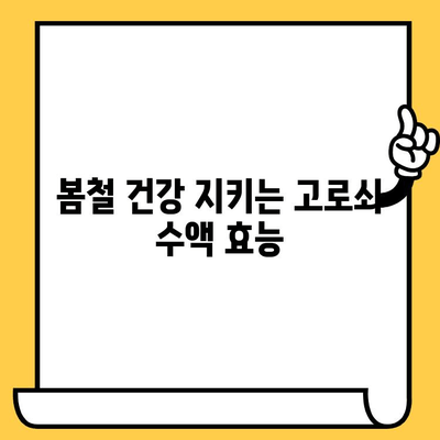 고로쇠 수액, 효능부터 보관까지 완벽 가이드 | 건강, 봄철 건강, 자연 식품, 뼈 건강, 면역력