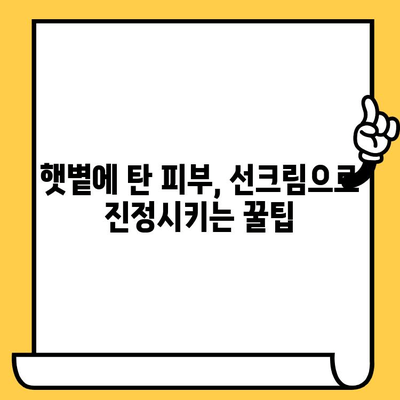 유통기한 지난 선크림, 버리지 마세요! 활용법 5가지 | 선크림 재활용, 피부 관리 팁, DIY 뷰티