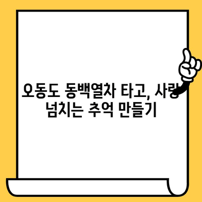 여수 오동도 데이트 코스| 동백열차 & 멋진 경치 | 연인과 함께 떠나는 로맨틱 여행