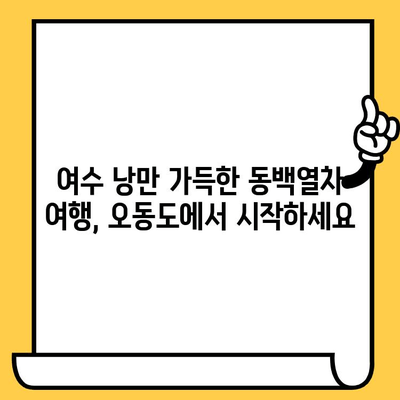 제주 오동도와 동백열차를 타고 떠나는 낭만 가득한 여수 데이트 코스 | 여수 가볼만한 곳, 데이트 코스, 동백열차, 오동도