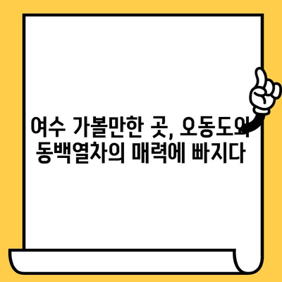 제주 오동도와 동백열차를 타고 떠나는 낭만 가득한 여수 데이트 코스 | 여수 가볼만한 곳, 데이트 코스, 동백열차, 오동도