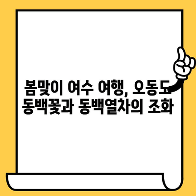 제주 오동도와 동백열차를 타고 떠나는 낭만 가득한 여수 데이트 코스 | 여수 가볼만한 곳, 데이트 코스, 동백열차, 오동도