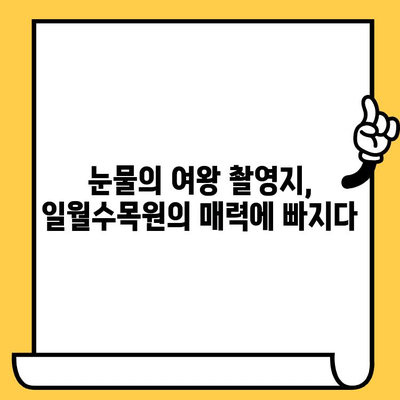 수원 일월수목원 눈물의 여왕 촬영지 탐방| 저렴하고 로맨틱한 데이트 코스 추천 | 수원 데이트, 가볼만한 곳, 드라마 촬영지