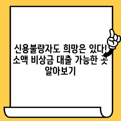 신용불량자도 가능할까? 연체자, 저신용자 소액 비상금 대출 가능 기관 총정리 | 신용불량 대출, 소액대출, 비상금 대출