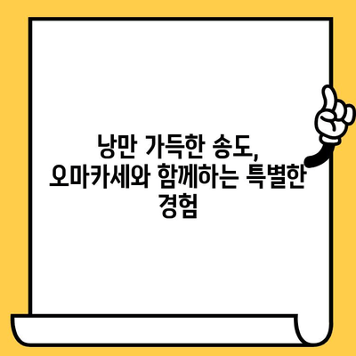 송도 오마카세 맛집 추천| 인천 데이트 코스 완벽 가이드 | 낭만, 미식, 특별한 경험