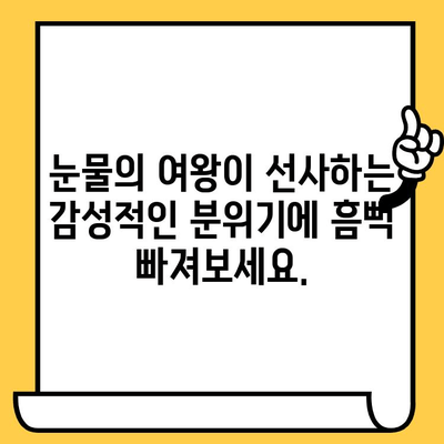 수원 일월수목원에서 "눈물의 여왕"과 함께하는 로맨틱 데이트 | 수원 데이트, 눈물의 여왕, 일월수목원, 가을 데이트