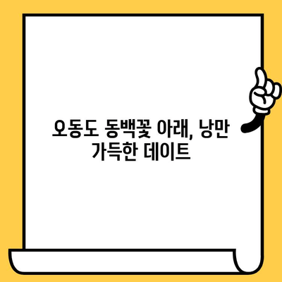 여수 데이트 코스 추천| 오동도 & 동백열차 로맨틱 여행 | 여수 가볼만한 곳, 커플 여행, 봄 여행