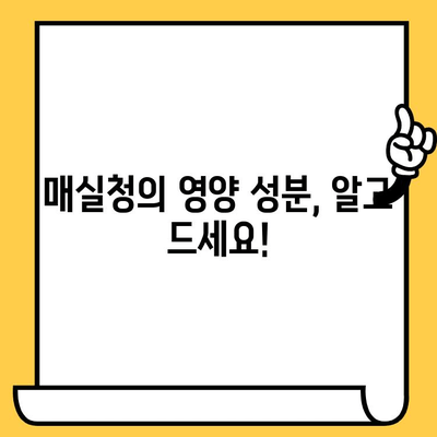 매실청의 모든 것| 효능, 영양성분, 부작용, 유통기한 | 건강, 매실, 효능, 부작용, 보관법
