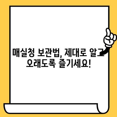 매실청의 모든 것| 효능, 영양성분, 부작용, 유통기한 | 건강, 매실, 효능, 부작용, 보관법