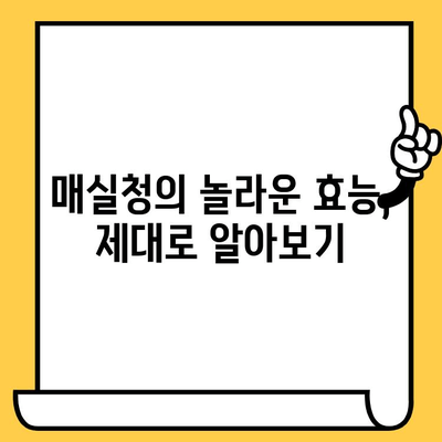 매실청 효능, 영양성분, 부작용, 유통기한까지 완벽 정리 | 건강 정보, 매실청 활용법, 부작용 주의 사항