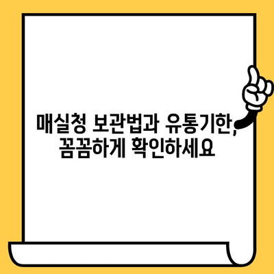 매실청 효능, 영양성분, 부작용, 유통기한까지 완벽 정리 | 건강 정보, 매실청 활용법, 부작용 주의 사항