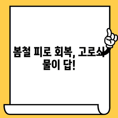 고로쇠 물 효능과 부작용 완벽 가이드| 보관법, 유통기한 관리까지 | 건강, 봄철 건강 관리, 자연 식품