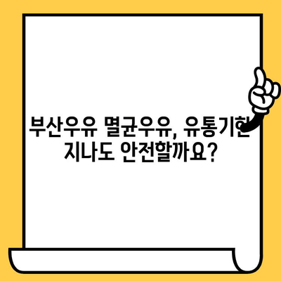 부산우유 멸균우유, 제대로 보관하고 맛있게 즐기는 방법 | 멸균우유 보관법, 유통기한, 보관 기간, 팁