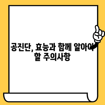 공진단 제조 과정과 유통기한 완벽 가이드 | 제조, 유통, 보관, 효능