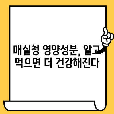 매실청 효능, 영양성분, 부작용 완벽 정리 | 황매실 액기스 유통기한까지!