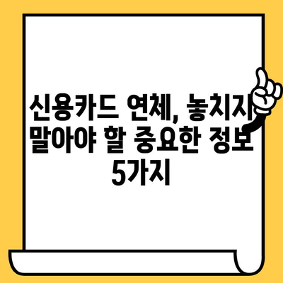 신용카드 대출 연체, 당황하지 마세요! 빠른 대처 방법 5가지 | 연체 해결, 신용 회복, 금융 상담