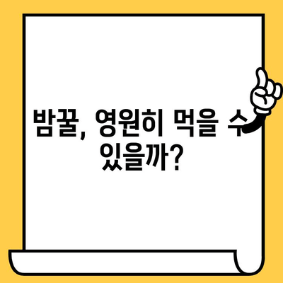 밤꿀 유통기한, 얼마나 될까요? | 꿀 보관법, 꿀 유효기간, 꿀 변질