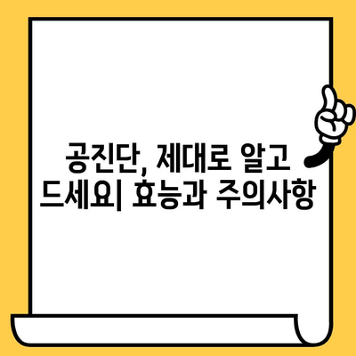 공진단 제조 과정 & 유통기한 완벽 가이드 | 효능, 보관법, 주의사항까지