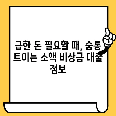 장기 연체자도 가능! 소액 비상금 대출 가능한 곳 찾기 | 비상금 대출, 연체자 대출, 소액 대출, 긴급 자금