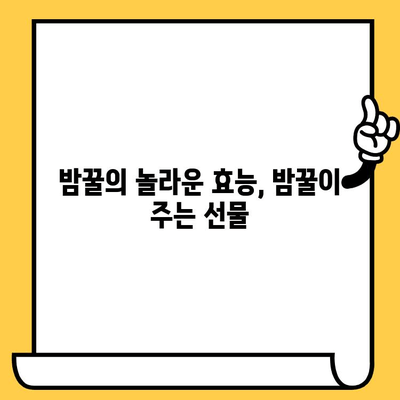 밤꿀의 놀라운 효능과 제대로 먹는 법 | 밤꿀 효능, 먹는 법, 복용법, 유통기한, 쓴맛 원인