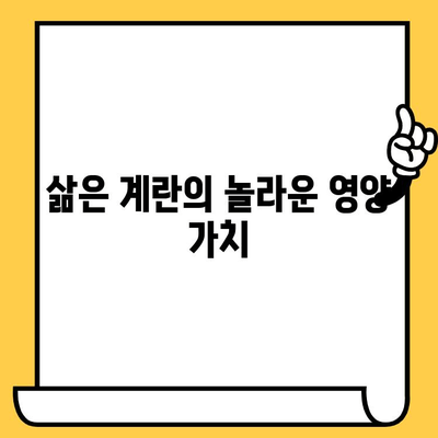 삶은 계란의 유통기한과 영양 혜택 완벽 가이드 | 계란 보관, 계란 요리, 영양 정보