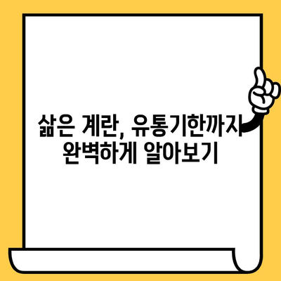 삶은 계란의 영양 가치 완벽 정복| 효능, 칼로리, 유통기한까지 한번에! | 계란 효능, 삶은 계란 칼로리, 계란 유통기한, 계란 영양
