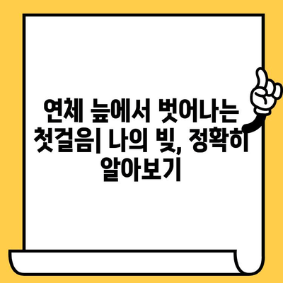 장기 연체자, 효율적인 빚 갚는 방법 연구|  대출 상황 분석부터 전략 수립까지 | 연체 해결, 신용 회복, 재무 설계