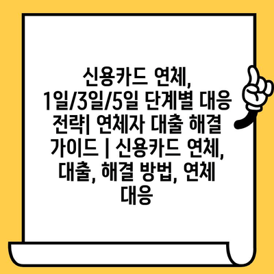 신용카드 연체, 1일/3일/5일 단계별 대응 전략| 연체자 대출 해결 가이드 | 신용카드 연체, 대출, 해결 방법, 연체 대응