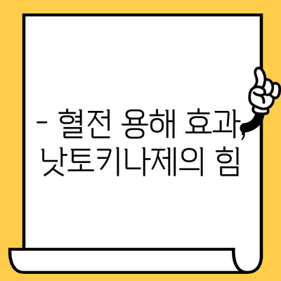 낫토의 놀라운 효능| 낫또키나제 효능, 영양 성분, 유통기한 총정리 | 건강, 혈전 용해, 장 건강, 식품