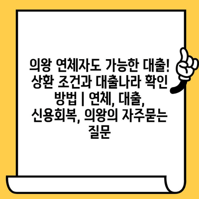 의왕 연체자도 가능한 대출! 상환 조건과 대출나라 확인 방법 | 연체, 대출, 신용회복, 의왕