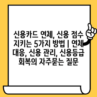 신용카드 연체, 신용 점수 지키는 5가지 방법 | 연체 대응, 신용 관리, 신용등급 회복