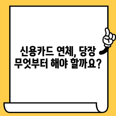 신용카드 연체, 대출 어떻게 해결할까요? | 1일, 3일, 5일 단계별 해결 전략