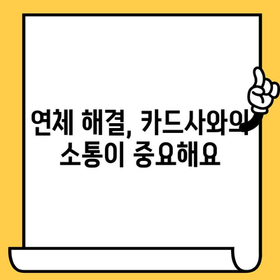 신용카드 연체, 대출 어떻게 해결할까요? | 1일, 3일, 5일 단계별 해결 전략