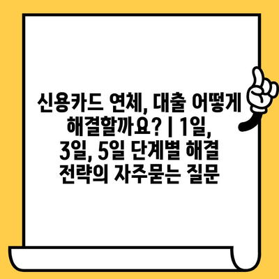 신용카드 연체, 대출 어떻게 해결할까요? | 1일, 3일, 5일 단계별 해결 전략