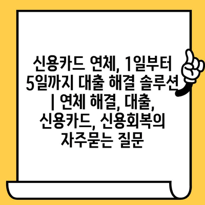 신용카드 연체, 1일부터 5일까지 대출 해결 솔루션 | 연체 해결, 대출, 신용카드, 신용회복