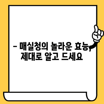 매실청 완벽 가이드| 효능, 성분, 부작용, 황매실 사용법, 유통기한까지 | 매실청 효능, 매실청 부작용, 매실청 만들기, 매실청 효과