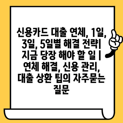 신용카드 대출 연체, 1일, 3일, 5일별 해결 전략| 지금 당장 해야 할 일 | 연체 해결, 신용 관리, 대출 상환 팁