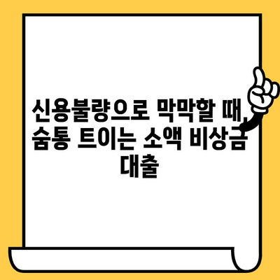 신불자도 가능한 대출! 연체, 신용불량, 저신용자 소액 비상금 지원 | 비상금, 급전, 대출 정보, 신용불량자 대출