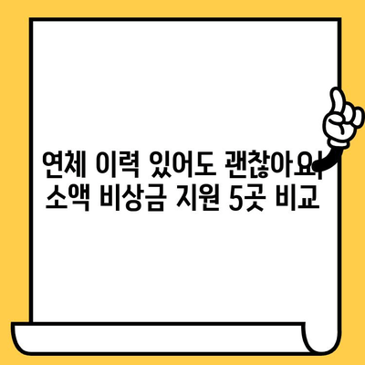 장기연체자도 가능! 소액 비상금 지원처 5곳 비교분석 | 긴급자금, 신용불량, 대출