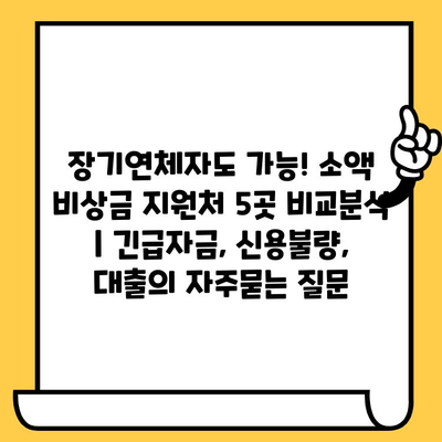 장기연체자도 가능! 소액 비상금 지원처 5곳 비교분석 | 긴급자금, 신용불량, 대출