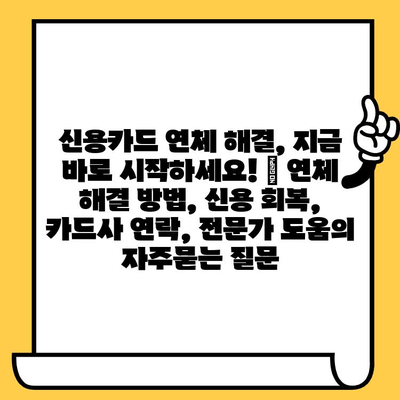 신용카드 연체 해결, 지금 바로 시작하세요! | 연체 해결 방법, 신용 회복, 카드사 연락, 전문가 도움