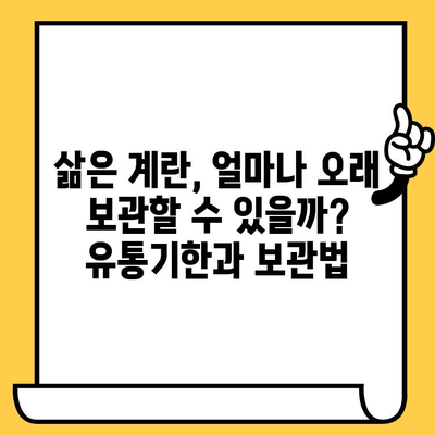 삶은 계란| 칼로리, 유통기한, 그리고 놀라운 건강 효능 | 영양, 레시피, 보관법