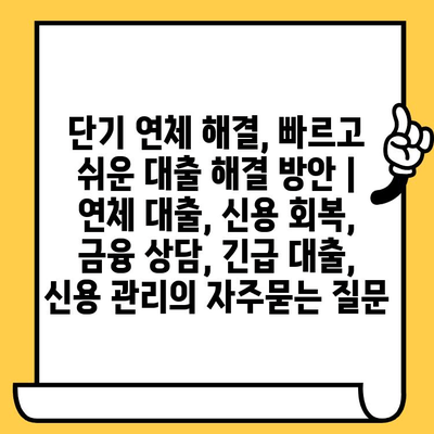 단기 연체 해결, 빠르고 쉬운 대출 해결 방안 | 연체 대출, 신용 회복, 금융 상담, 긴급 대출, 신용 관리