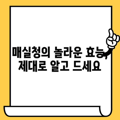 매실청 완벽 가이드| 효능, 영양성분, 부작용, 황매실, 액기름 유통기한까지 | 매실청 효능, 매실청 부작용, 매실청 액기름, 황매실 효능