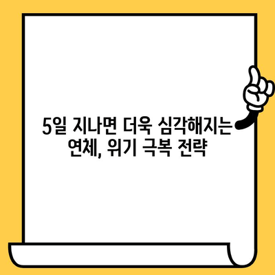 신용카드 대출 연체, 늦기 전에 해결하세요! | 1일, 3일, 5일별 맞춤 대응 전략