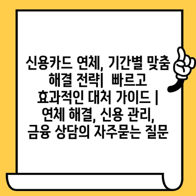 신용카드 연체, 기간별 맞춤 해결 전략|  빠르고 효과적인 대처 가이드 | 연체 해결, 신용 관리, 금융 상담