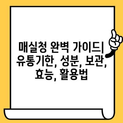 매실청 유통기한과 성분 완벽 가이드 | 보관법, 효능, 활용법