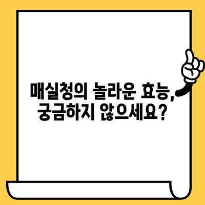 매실청 유통기한과 성분 완벽 가이드 | 보관법, 효능, 활용법