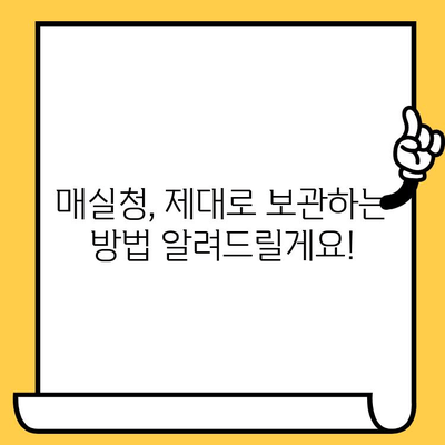 매실청 유통기한과 성분 완벽 가이드 | 보관법, 효능, 활용법